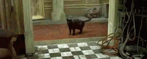 Gif animé montrant une scène du film Matrix : lorsque Néo voit le même chat noir apparaître deux fois de suite.