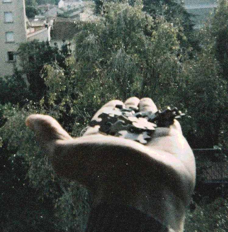 Lancement de *caGéa*